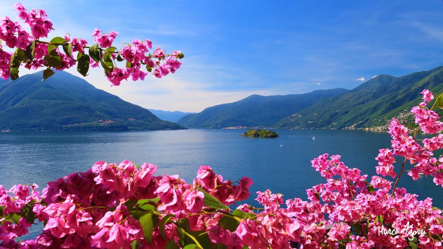 Charme Hotel Al Torchio Ascona Dış mekan fotoğraf